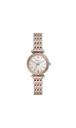 Bild von FOSSIL W CARLIE MINI STAINLESS STEEL SILVER WT 28MM 2023