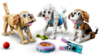 Bild von LEGO 31137 ADORABLE DOGS CREATOR