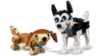 Bild von LEGO 31137 ADORABLE DOGS CREATOR