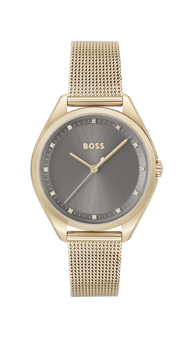 Bild von HUGO BOSS W WT 1502668