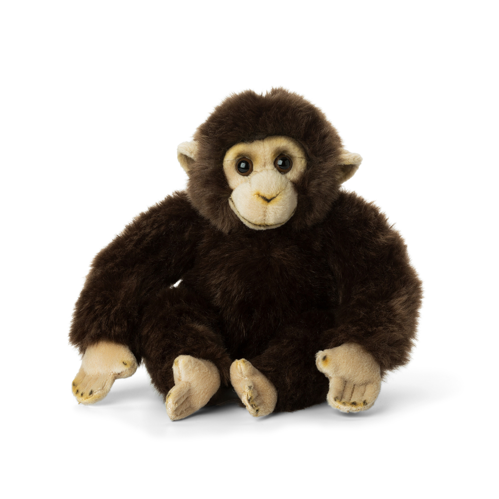 Bild von WWF CHIMPANZEE 15191008