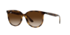 Bild von RAY-BAN W 4378710/1354 EW SUNGLASSES 2025