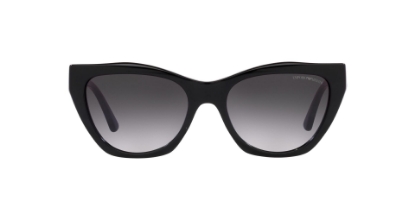 Bild von EMPORIO ARMANI W 417658758G54 EW SUNGLASSES 2023
