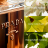 Bild von PRADA W LA FEMME INTENSE EDP 100 ML