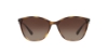 Bild von EMPORIO ARMANI W 4073-502613 EW SUNGLASSES 2024