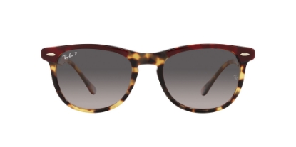 Bild von RAY-BAN U 23981377M353 EW POLARIZE